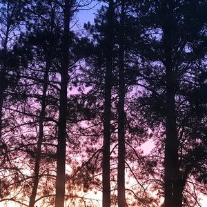 Meet your Posher, Mackenzie